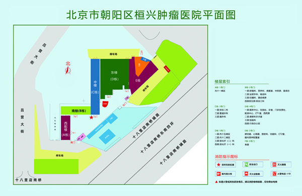 把班主任搞到高潮h文北京市朝阳区桓兴肿瘤医院平面图